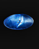 SHINE Mega Vibe Regeneration Kit