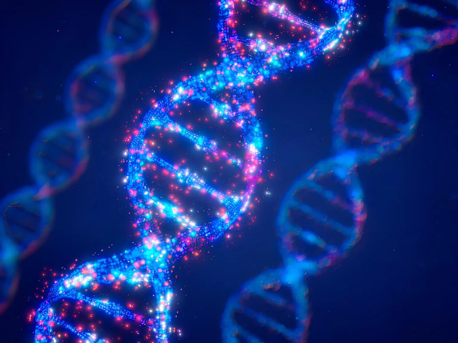 DNA Vibe science